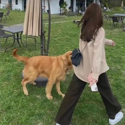 风云再起
