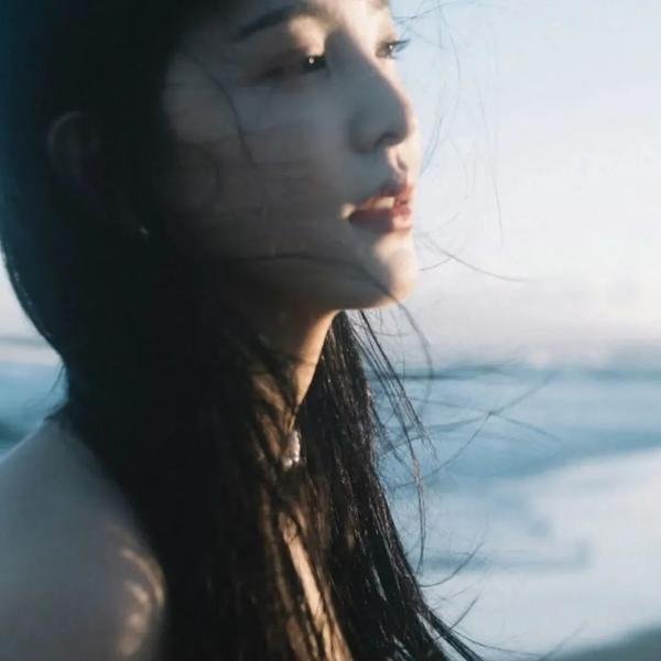 鸭子的天空